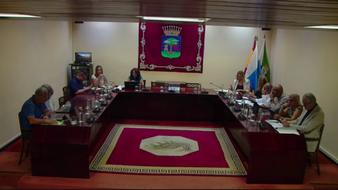 Pleno Extraordinario 31-07-25